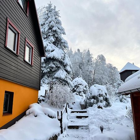 Haus Tadeus Apartment Altenberg Exterior photo